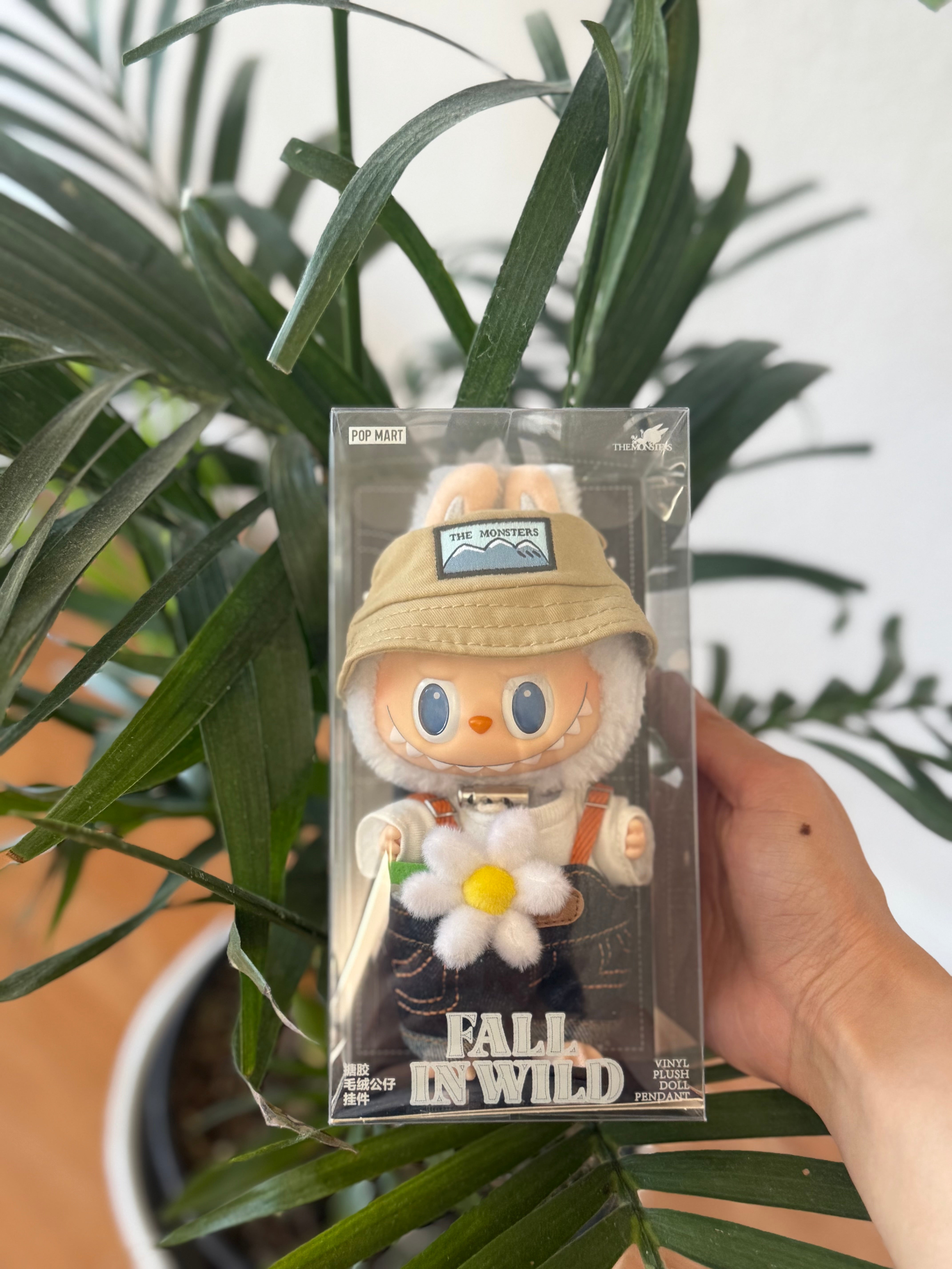 Fall in