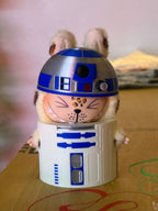 Rtd2 set top and bottom